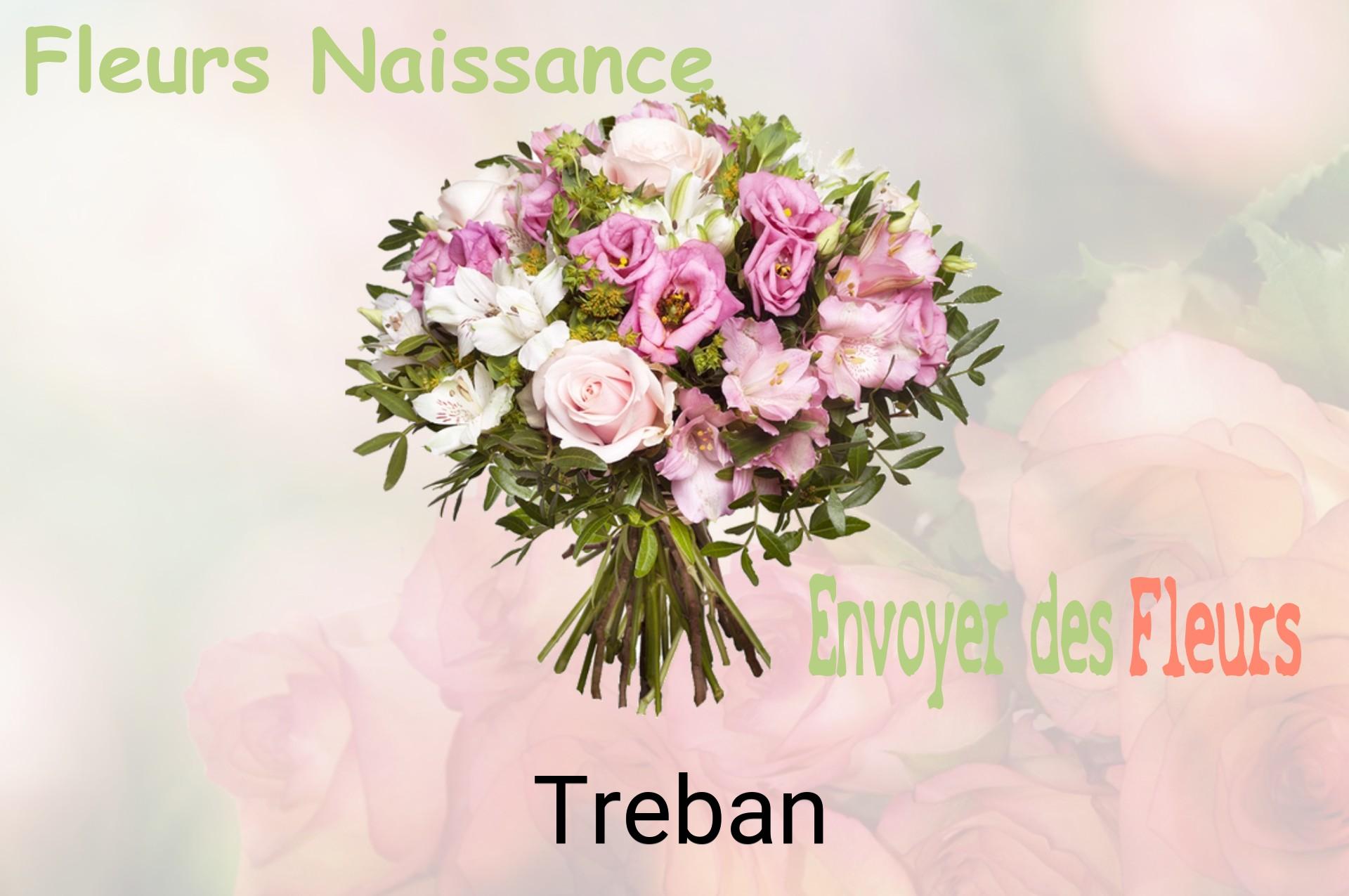 Bouquet de fleurs de naissance livré à Treban